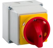 Переключатель КЭАЗ OptiSwitch 4G16-55-PK-S25 262012
