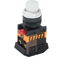 Кнопка GENERICA ABLFP-22 белый d22мм неон/240В NO+NC BBT20-ABLFP-K01