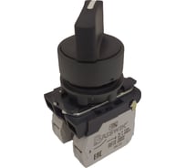 Переключатель Briswik КПЕ 1111-Р черный IP40 УХЛ2 10А 1но 1нз aB-VB-0Ai-0121