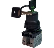 Переключатель Briswik ПЕ 171/2 черный IP40 УХЛ3 10А 1но 1нз aS-YB-0Ai-0121