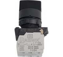 Переключатель Briswik КПЕ 2620-Р черный IP65 УХЛ2 10А 2но 0нз aB-VG-5Ai-0122
