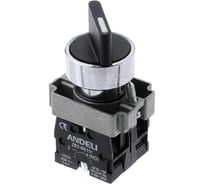 Переключатель ANDELI XB2-BD25 черный 1NO 1NC на 2 положения I-0 стандарт ручка артикул ADL10-001