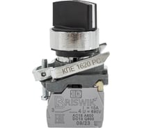 Переключатель Briswik КПЕ 1620-РС черный IP65 УХЛ2 10А 2но 0нз aD-VB-5Ai-0122