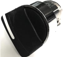 Переключатель с ключом Briswik 2 положения с фиксацией металл Ø22 мм IP66 ZB4BD2.66.BR