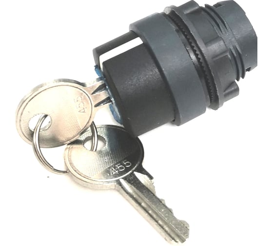 Переключатель с ключом Briswik 2 положения с фиксацией пластик Ø22 мм IP66 ZB5EG2.66.BR