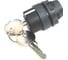 Переключатель с ключом Briswik 2 положения с фиксацией пластик Ø22 мм IP66 ZB5EG2.66.BR 1