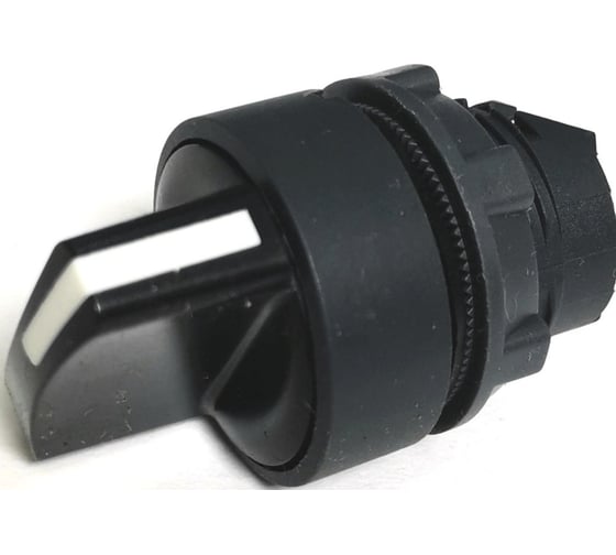 Переключатель с ключом Briswik 2 положения пластик Ø22 мм IP66 ZB5BD4.66.BR