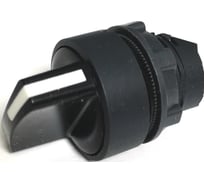Переключатель с ключом Briswik 2 положения с фиксацией пластик Ø22 мм IP66 ZB5BD2.66.BR