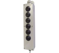 Пост кнопочный ПКТ (22) Briswik 60 мет. с ключом IP54 УХЛ2 PKTM(22)1632K-000