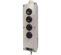 Пост кнопочный ПКТ (22) Briswik 40 мет.с ключом IP54 УХЛ2 PKTM(22)1432K-000