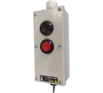 Пост кнопочный ПКТ (22) Briswik 20 мет. с ключом IP54 УХЛ2 PKTM(22)1232K-000