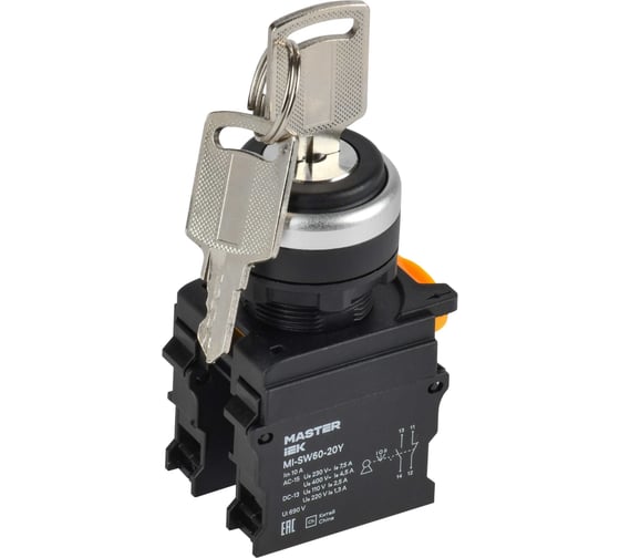 Переключатель IEK с ключом 3 положения 2NO чёрный MASTER MI-SW60-20Y-3-34-3-K02