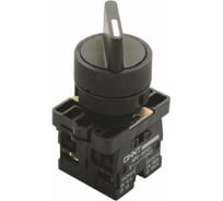 Переключатель CHINT NP2-ED25 2 полож. с фиксацией 1НЗ +1НО IP40 573781