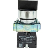 Переключатель CHINT NP2-BD53 3 полож. с возвратом 2НО IP40 574852