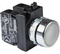 Кнопка со светодиодной подсветкой Emas белая CM150DB
