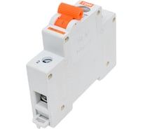 Выключатель нагрузки мини-рубильник TDM ВН-32 1P 63A AQ0211-0007