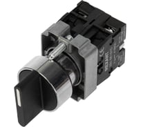 Переключатель REXANT bd32 4p короткая ручка no 36-5551 28570742