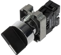 Переключатель REXANT bd21 2p короткая ручка no 36-5550