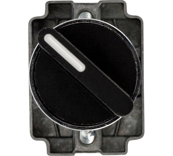 Переключатель REXANT bd21 2p короткая ручка no 36-5550