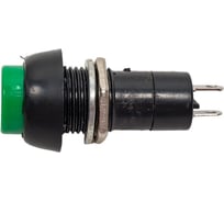 Выключатель-кнопка REXANT 250v 1 а (2с) off-(on) б/фикс зеленая (pbs-11в) 36-3042