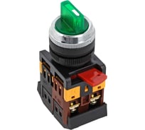 Переключатель EKF ANC-22 2P зеленый с подсветкой 220В psw-ans-2p-g-220