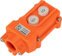 Кнопочный пульт REXANT пк-2 на 2 кнопки, ip54 36-9210