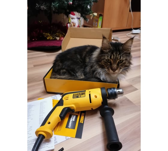 Ударная дрель DEWALT DWD 024 6