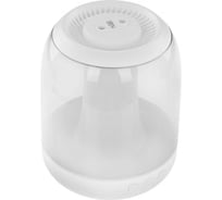 Увлажнитель аромадиффузор ZDK Light 1417 сдвоенный диффузор, белый LightXZ24031417