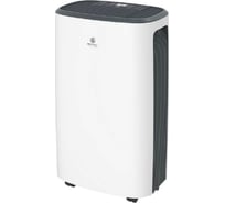 Осушитель воздуха Royal Clima CARISMA Loft RD-CR16-E