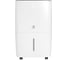 Осушитель воздуха Royal Clima CARISMA Villa RD-CR40-E 10