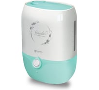 Увлажнитель воздуха Royal Clima RUH-G300/4.0M-GN НС-1100613