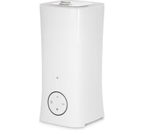 Увлажнитель воздуха Accesstyle Natural 2S