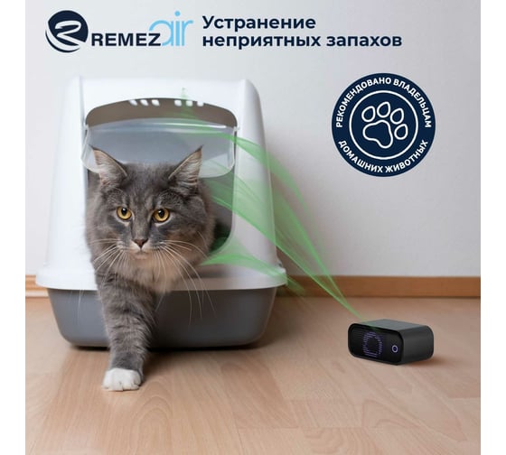 Очиститель-обеззараживатель воздуха Remezair RMA-102-02 ЦБ-00000105
