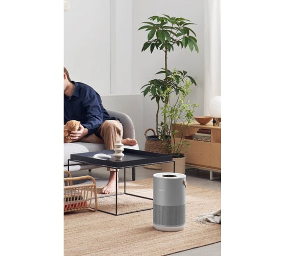 Очиститель воздуха Smartmi Air Purifier P1 серебристый ZMKQJHQP12