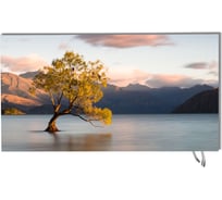 Карбоновый обогреватель ЛУЧ 450Вт/1x0,5 Дерево и горы