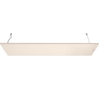 Инфракрасный обогреватель THERMO GLASS PION CERAMIC-04, 400Вт, 220В, бежевый CERAMIC-04 BEIGE