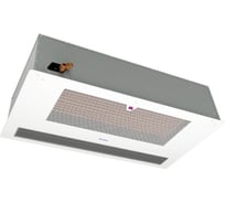 Тепловая завеса Тепломаш КЭВ-44П4171W 134018