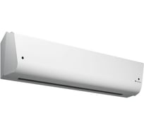 Тепловая завеса Тепломаш КЭВ-65П4142W 134076