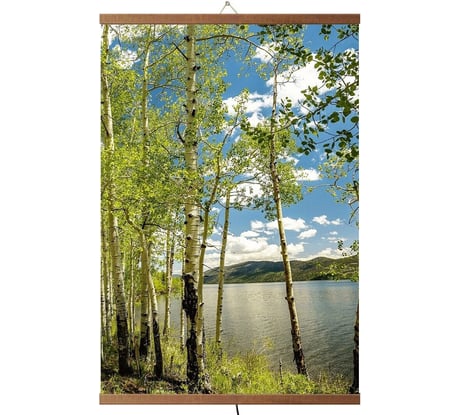 Инфракрасный гибкий настенный обогреватель для квартиры и дачи Домашний Очаг Березовая роща ИКОДО-БР