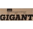 Электрический конвектор 2,5 кВт Gigant GECS-2,5 MT 12