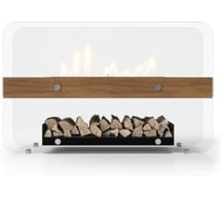 Биокамин Royal Thermo RTBFP-F800FR Friday НС-1657176