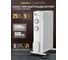Масляный обогреватель Centek CT-6230-9 (белый) 9 секций (25м) 2000Вт, 3 режима защита от перегрева CT-6230-9 WHITE 2
