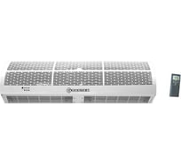 Электрическая тепловая завеса Dantex RZ-0306DT (ТЭН)