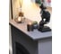 Каминокомплект Royal Flame Barcelona STD SFT (Graphite Grey) разборный портал и Fobos FXM Black RC электрокамин 64950019 4