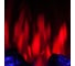 Каминокомплект RealFlame CALLISTO 52 WT JOKER S 52 10020360 15