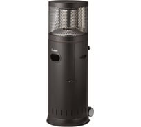 Уличный инфракрасный газовый обогреватель ENDERS POLO BLACK 2.0 4000591016264