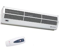 Электрическая тепловая завеса Dantex RZ-0306DS (ТЭН)