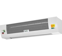 Завеса тепловая Ballu BHC-B10T09-PS НС-1717349