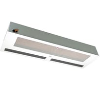 Тепловая завеса Тепломаш КЭВ-70П4181W 134019