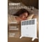 Электрический конвектор Royal Clima  RIBERA Meccanico REC-R1000M 5